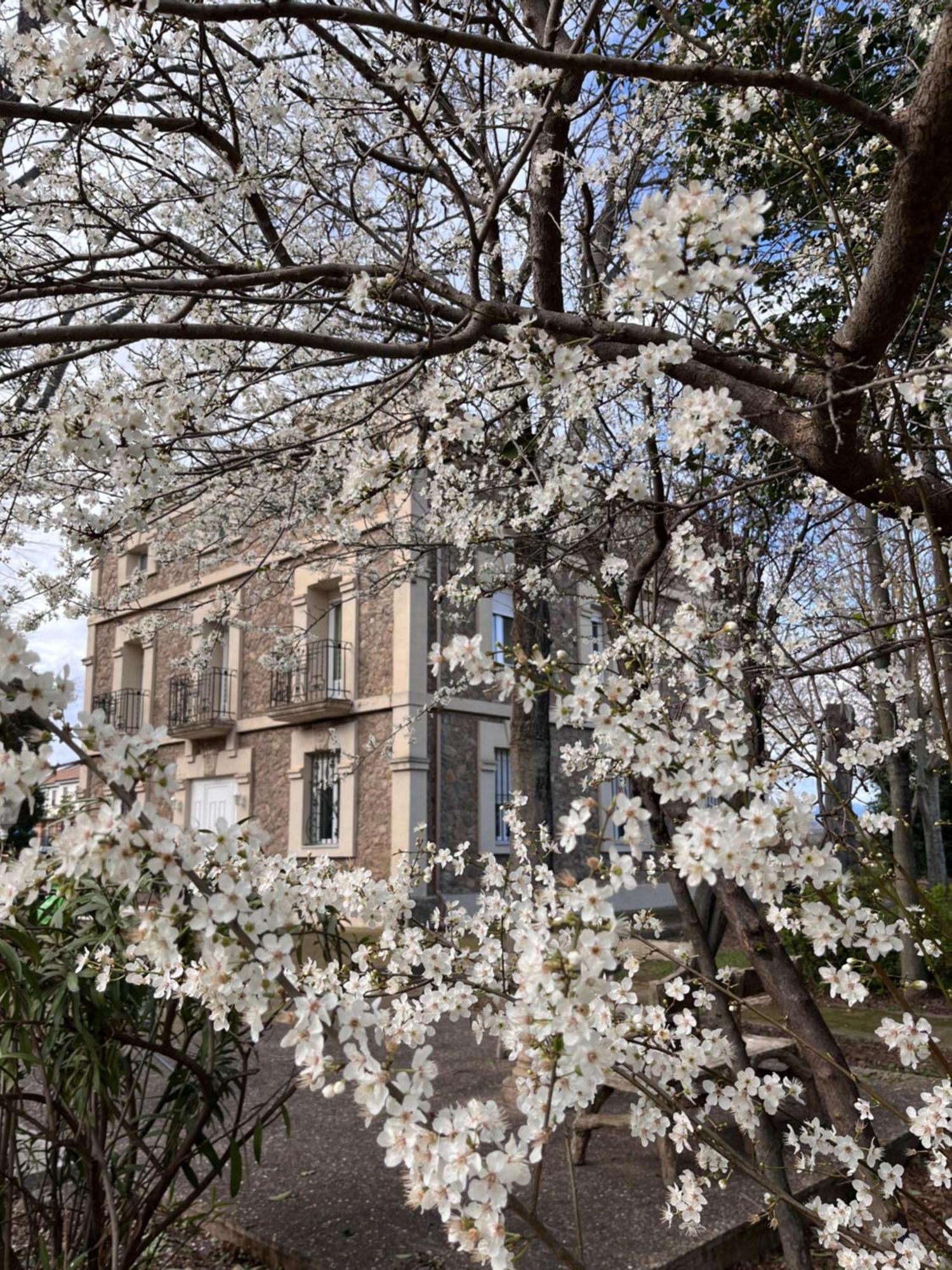 Villa Merenciana Agoncillo Екстериор снимка