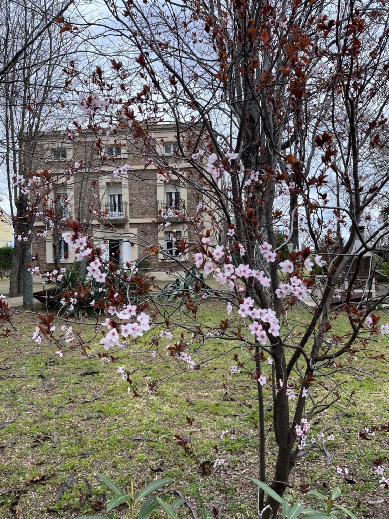 Villa Merenciana Agoncillo Екстериор снимка