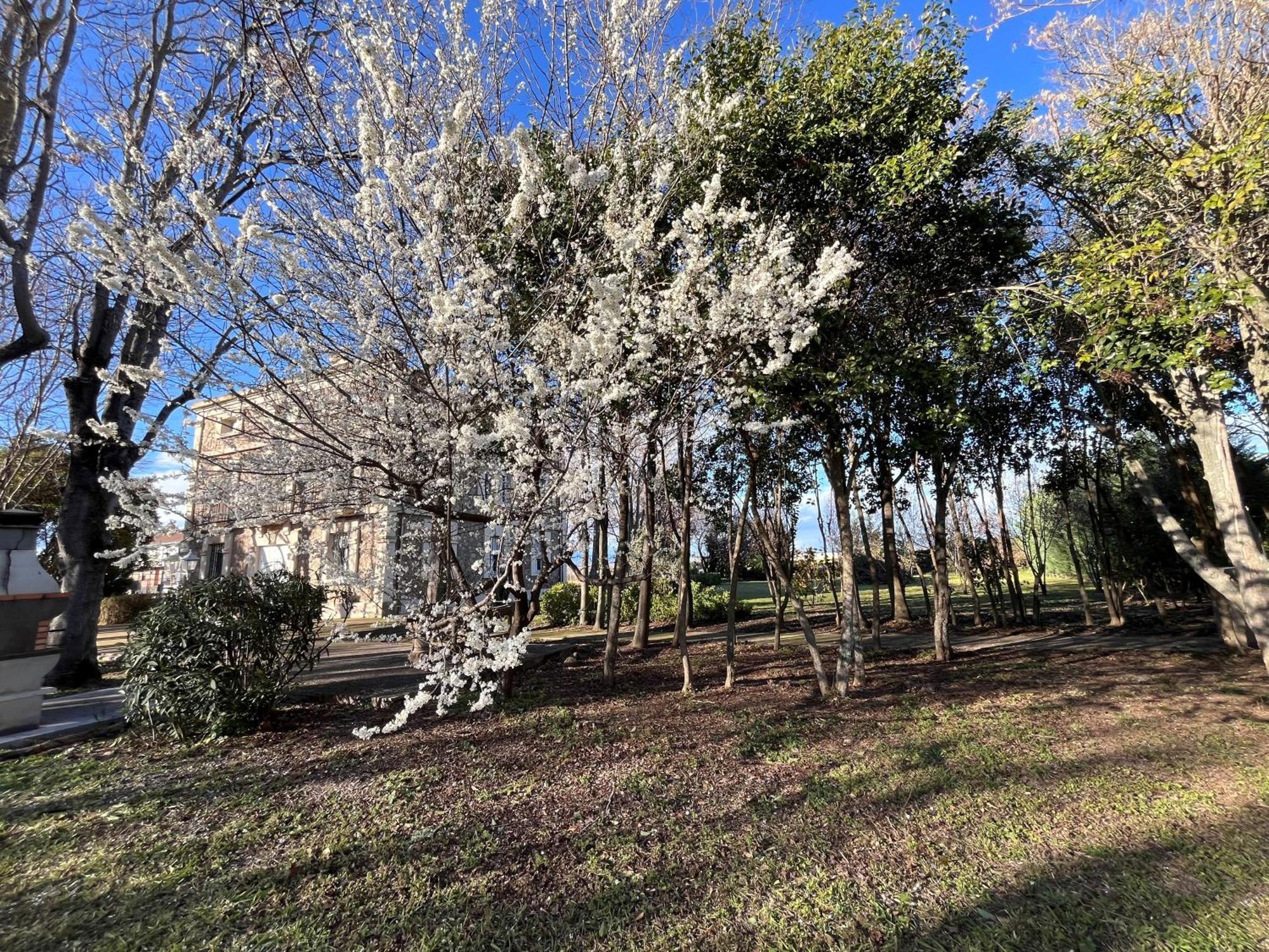 Villa Merenciana Agoncillo Екстериор снимка